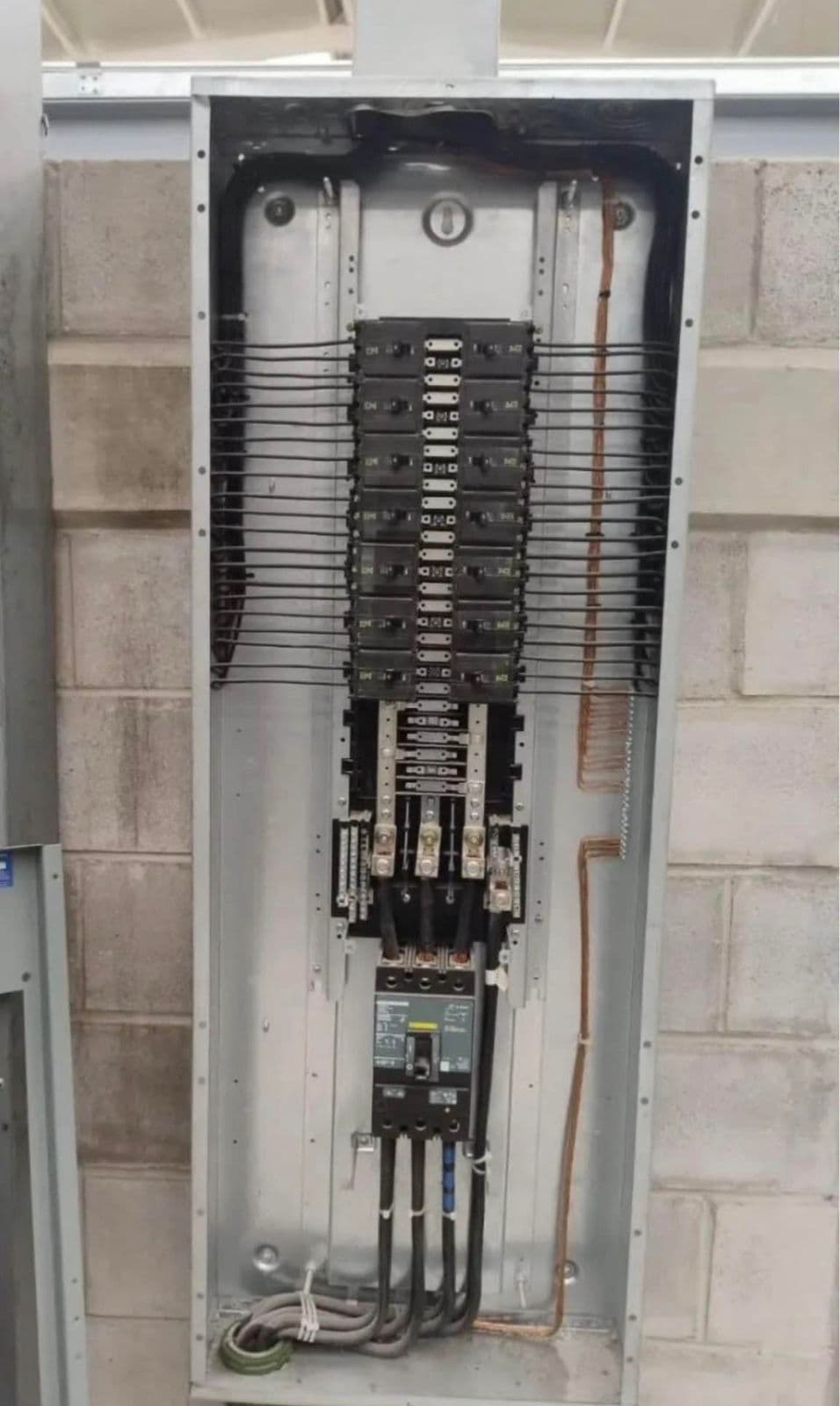 Trabajo AUREON 6